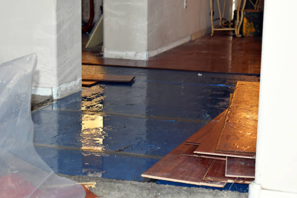 Professional Sewage Cleanup technician working in Atlas, MI